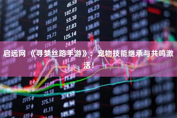 启远网 《寻梦丝路手游》：宠物技能继承与共鸣激活！