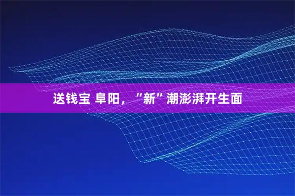 送钱宝 阜阳，“新”潮澎湃开生面