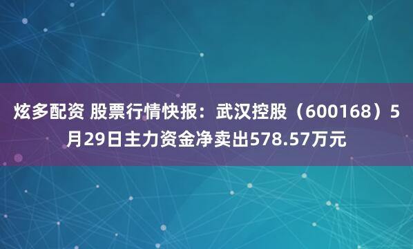 炫多配资 股票行情快报：武汉控股（600168）5月29日主力资金净卖出578.57万元