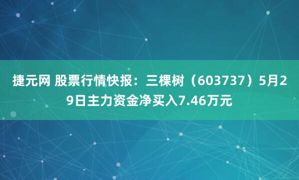 捷元网 股票行情快报：三棵树（603737）5月29日主力资金净买入7.46万元