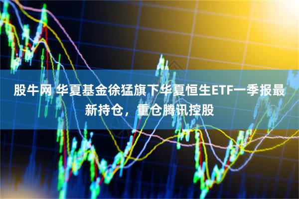 股牛网 华夏基金徐猛旗下华夏恒生ETF一季报最新持仓，重仓腾讯控股