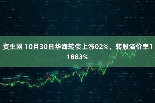 资生网 10月30日华海转债上涨02%,转股溢价率11883%