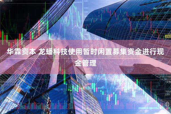 华霖资本 龙蟠科技使用暂时闲置募集资金进行现金管理